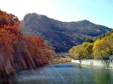 澳门天天彩期期精准平肖，回收线路板